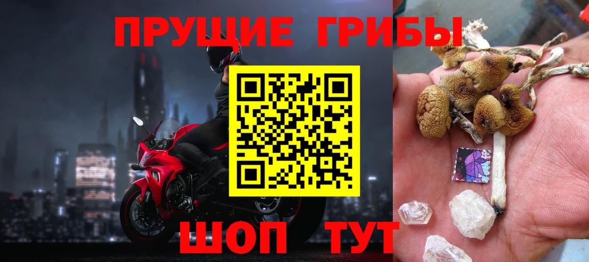 Псилоцибиновые грибы Psilocybine cubensis  Вход с VPN  Камышлов 